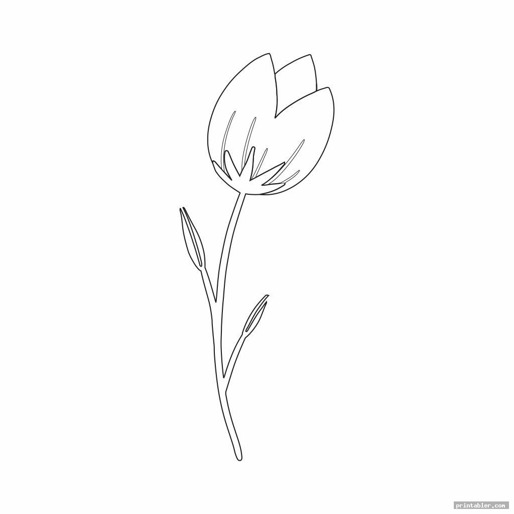Tulip Flower Template Printable - Gridgit.com